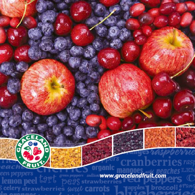 ワールドスコープ株式会社 様