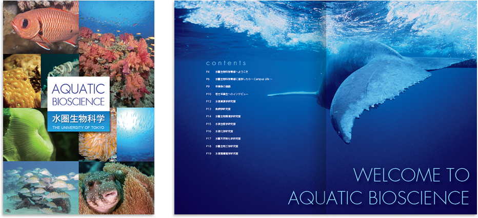 中綴じ 20ページ